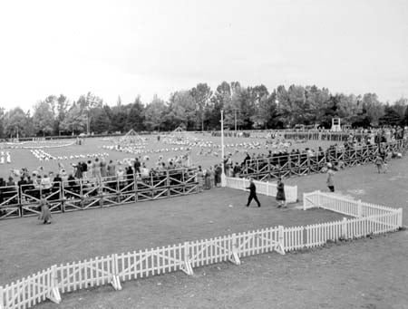 Oct 1951 Schools Jubilee Display- MO school kids spell JUBILEE with their bodies. credit ACT Heritage Library